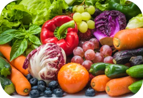 Menu vegetariano  Descubre la cocina vegetariana con nosotros: Un menú que transforma ingredientes frescos en obras maestras culinarias saludables
